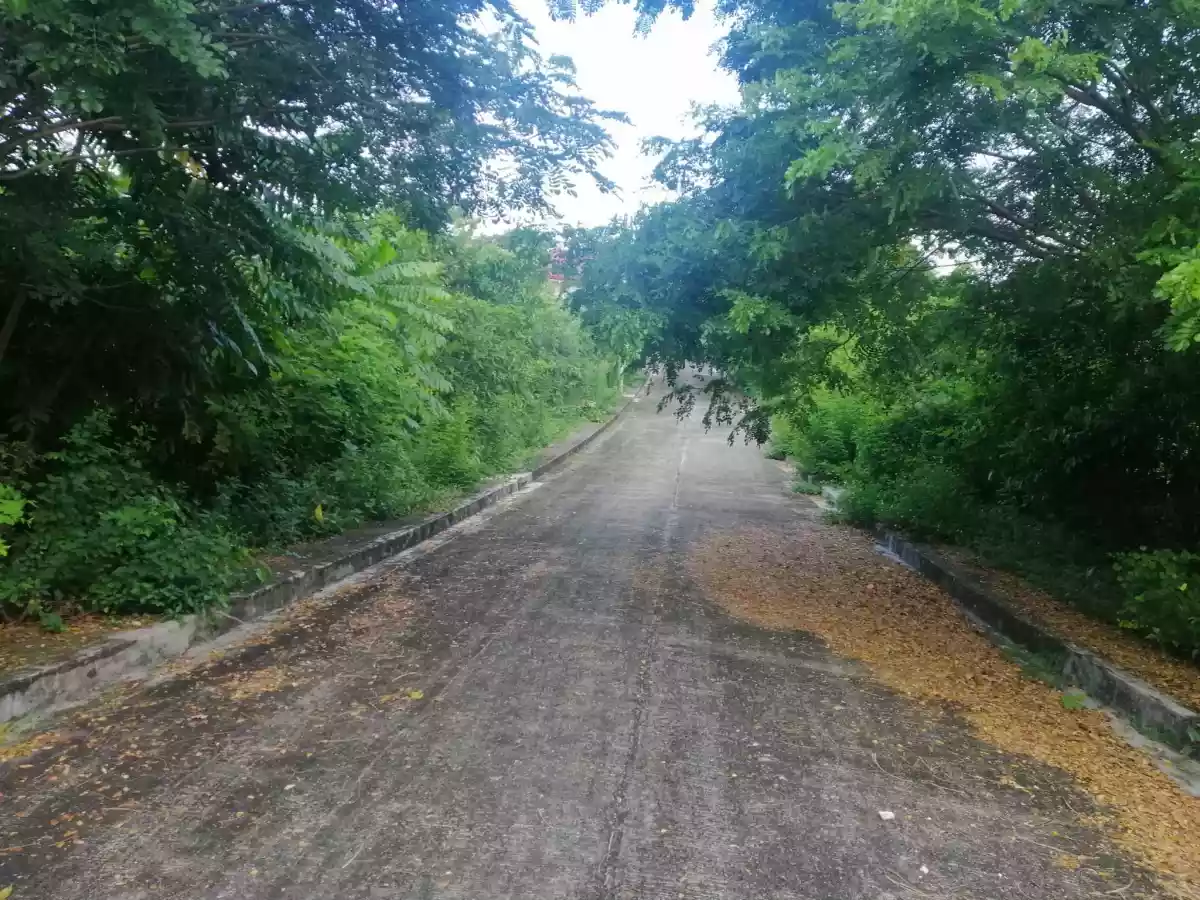 LOT ONLY AT SUMMERHILLS SUBD. — Residential Lot in Compostela, Cebu, Philippines — Photo 5