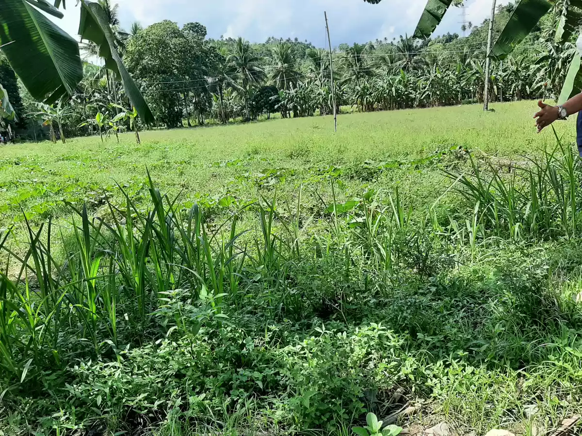 Open photo 14 of 20 — Lot For Sale!!