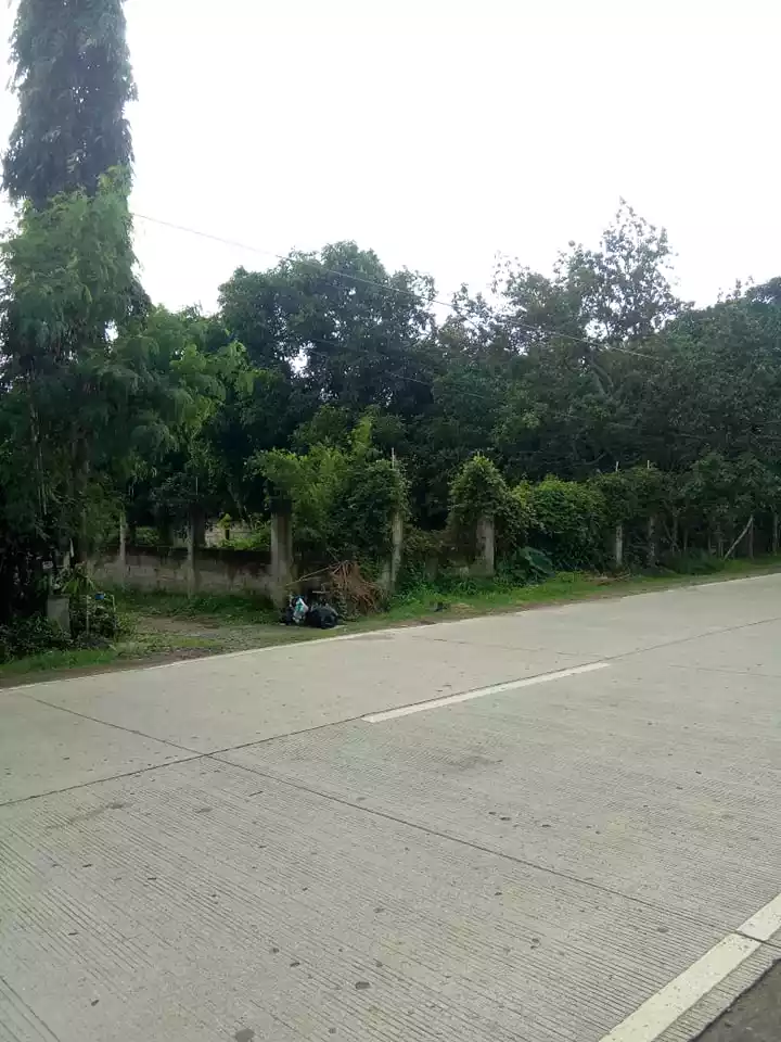 Along National Road Residential Lot — Residential Lot in Negros Oriental, Philippines — Photo 6
