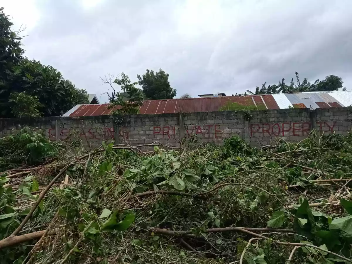 LOT FOR SALE — Residential Lot in Cebu, Philippines — Photo 3