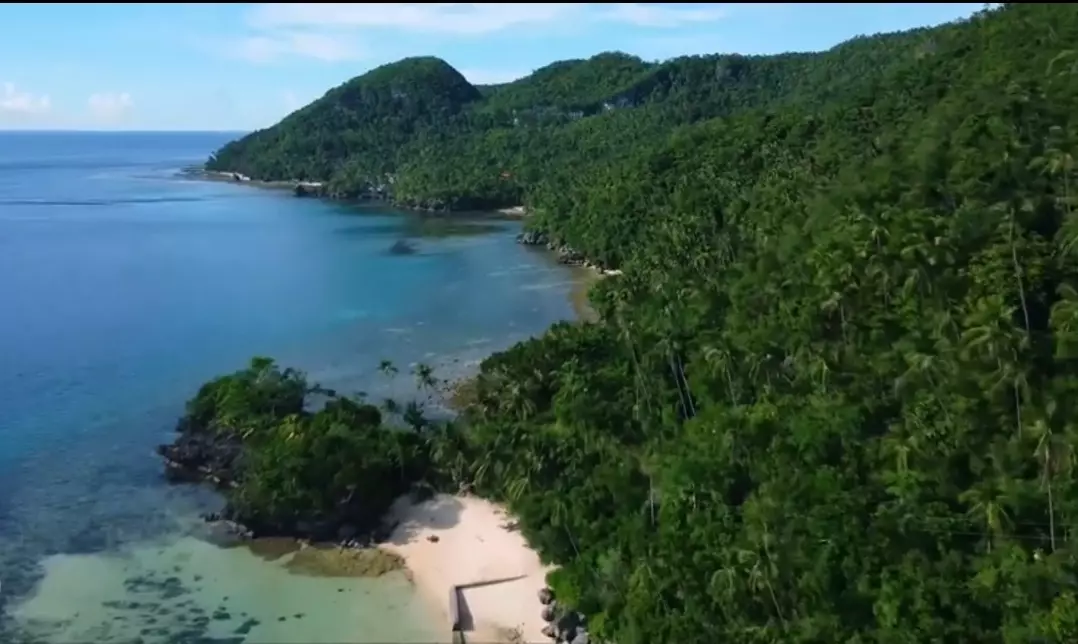 RARE FIND Hinugtan Beach Paradise FOR SALE - photo 2
