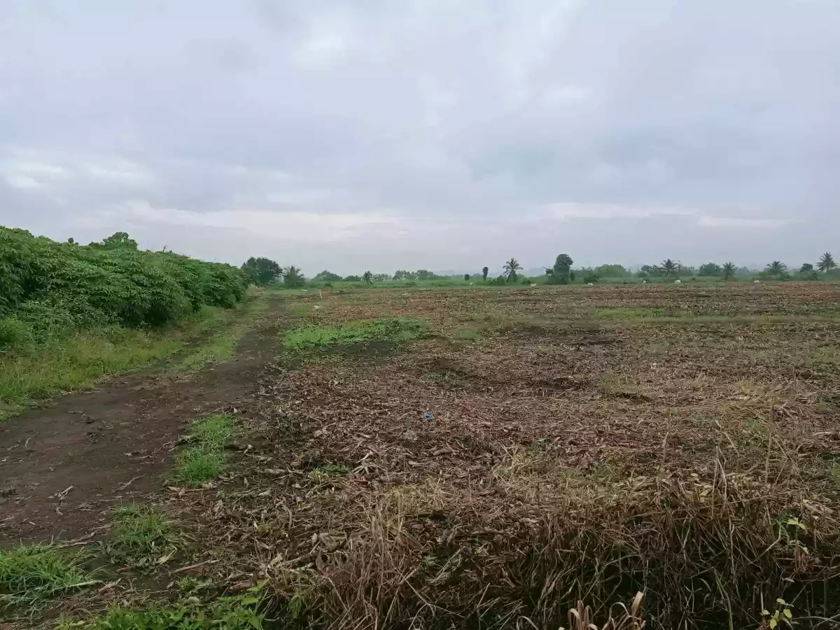Farm lot — Agricultural Lot in South Cotabato, Philippines — Photo 5