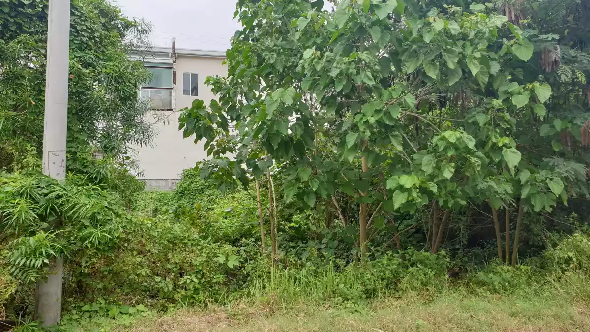 Lot for sale inside Grant Ville Subdivision in Lapu-lapu City - photo 5