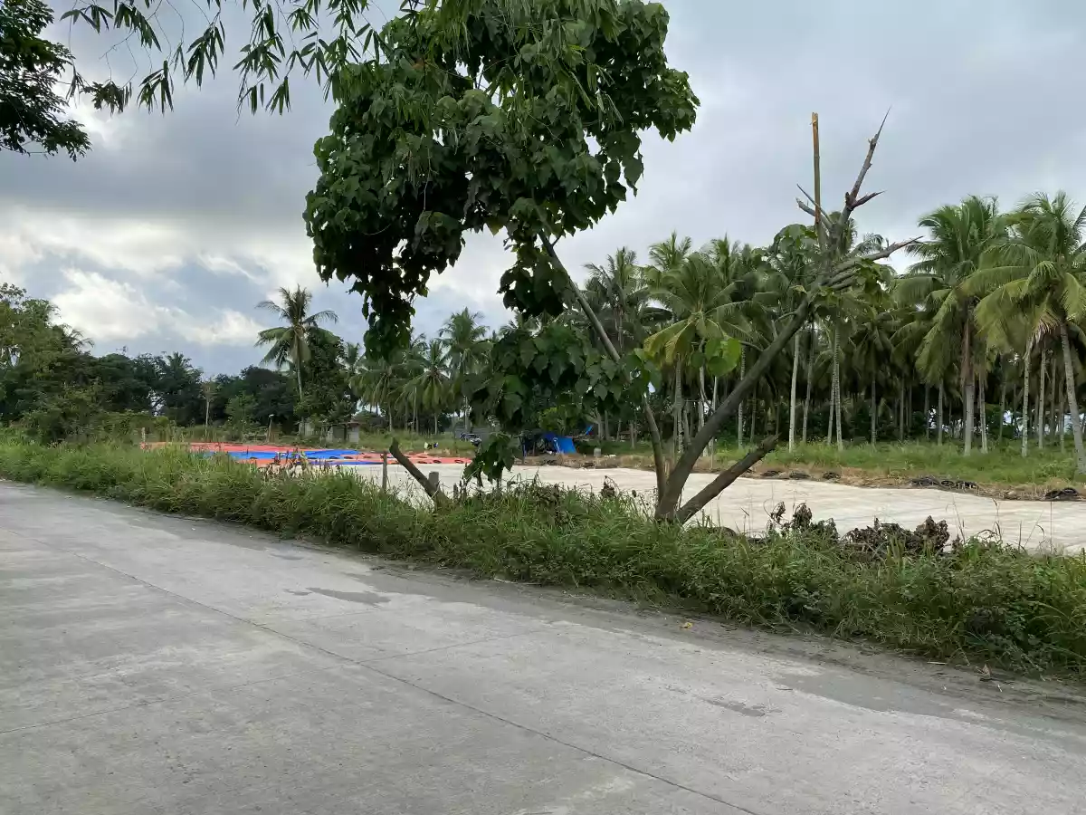 Lot for rent — Commercial Lot in Philippines — Photo 4