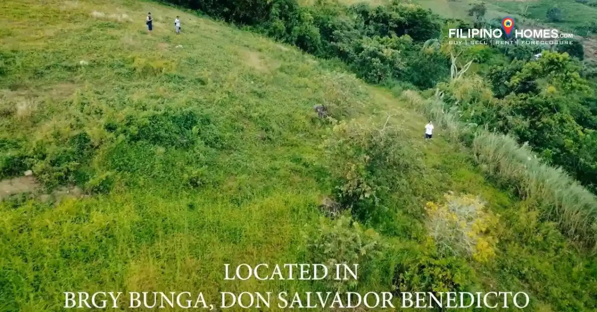 LOT in Don Salvador for sale — Agricultural Lot in Negros Occidental, Philippines — Photo 5