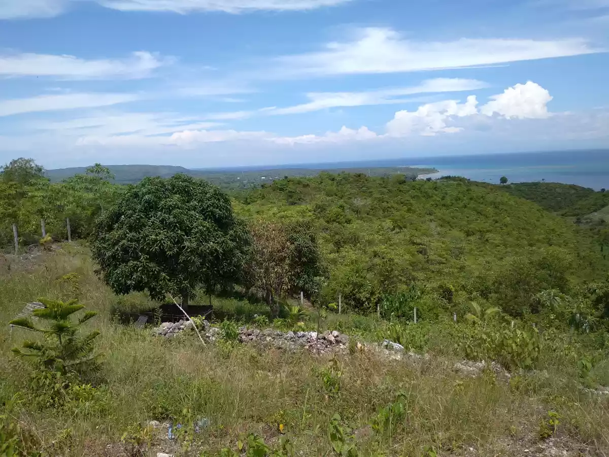 Overlooking Lot for Sale - photo 5