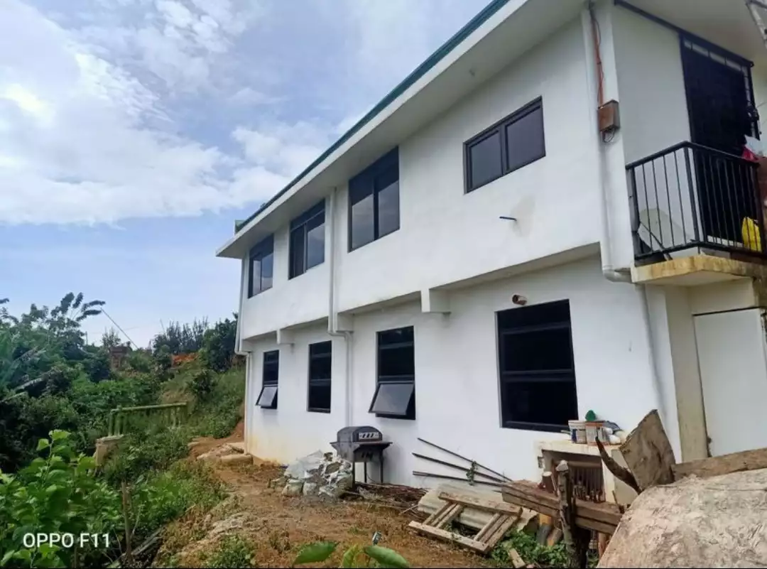 Farm Lot with 2Storey House in Balamban - photo 6