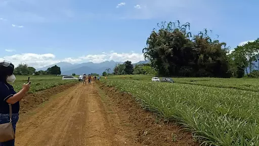 Lot for sell at Pongol, libona ,Bukidnon 