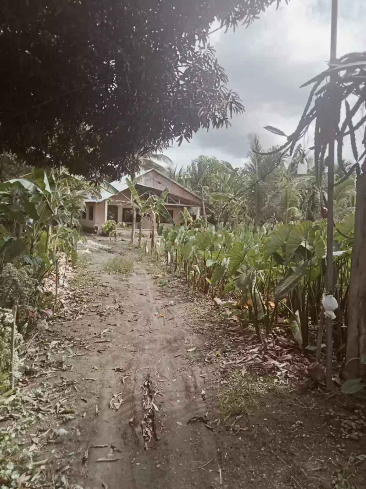 LOT for Sale! — Residential Lot in Sto Niño Road, Dumaguete, Negros Oriental — Photo 5