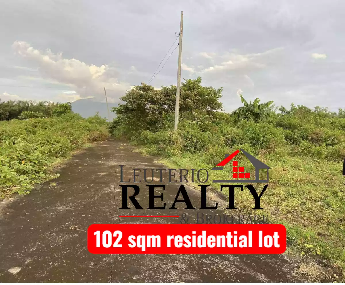 Residential Lot Inner - photo 5
