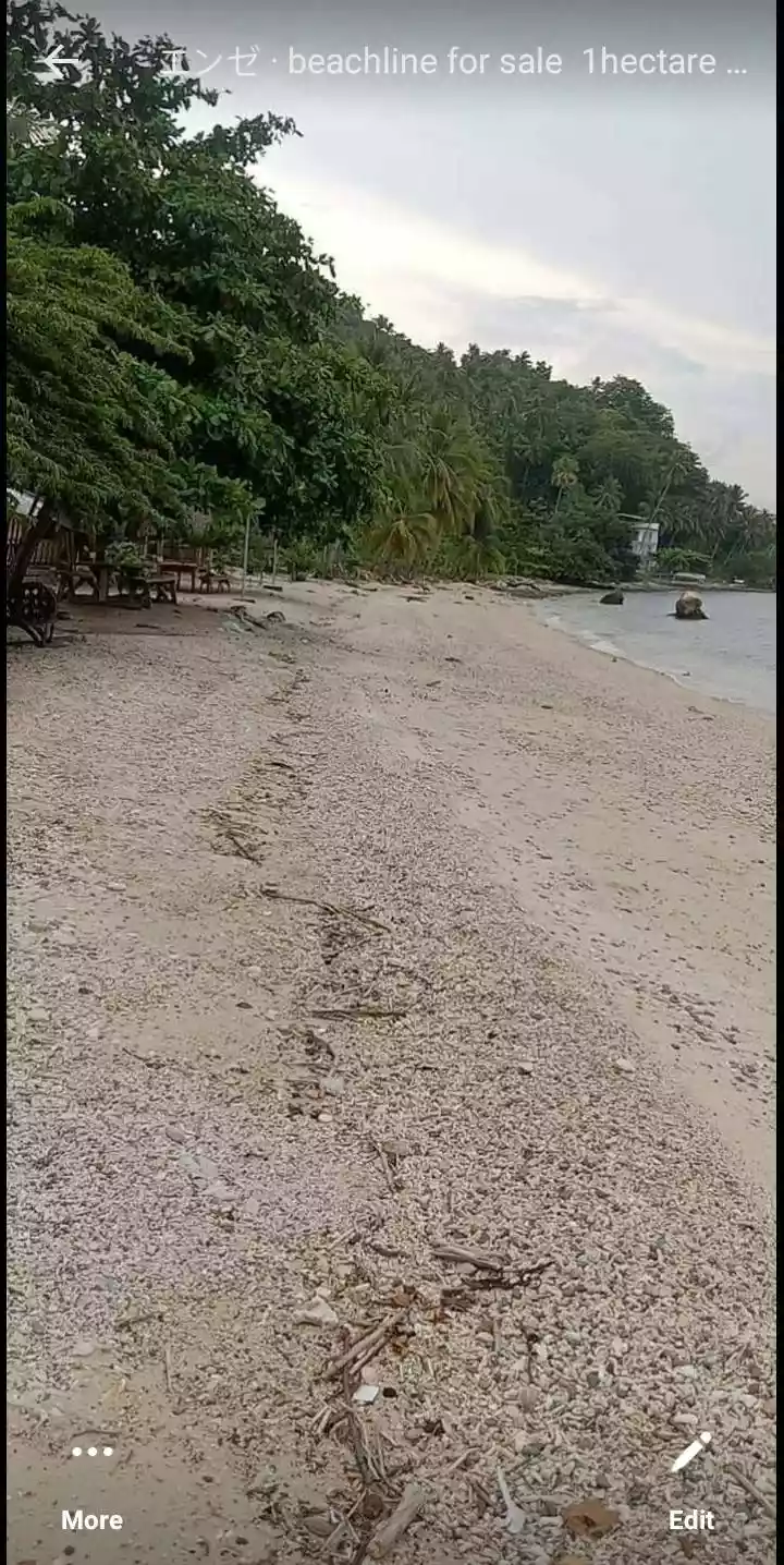 Beach Line Lot for Sale — Beach Lot in Island Garden City of Samal, Davao del Norte, Philippines — Photo 3