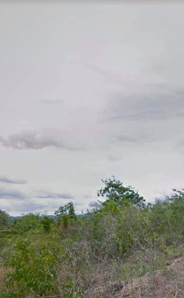 Affordable Residential Lot in Tagbilaran City for Sale! — Residential Lot in Tagbilaran City, Bohol, Philippines — Photo 4
