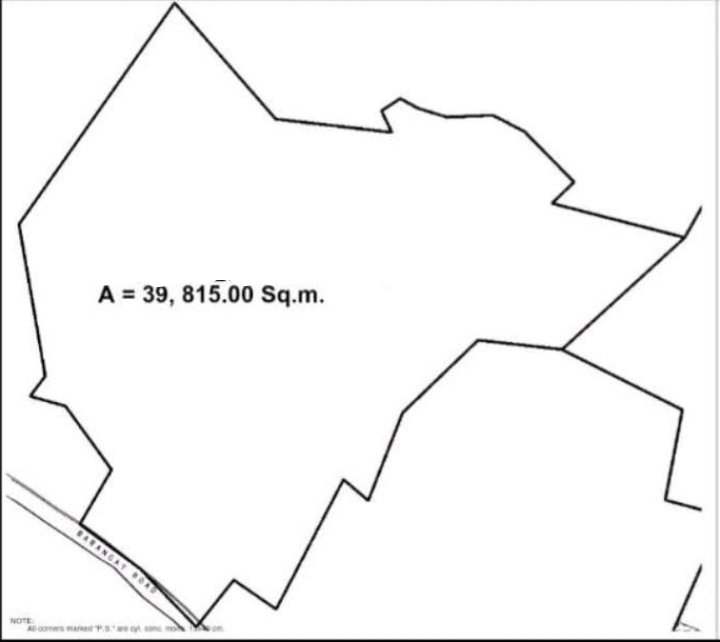 3.9 Hectare Industrial Lot for Sale in Cogon Compostela — Industrial Lot in Compostela, Cebu, Philippines — Photo 2