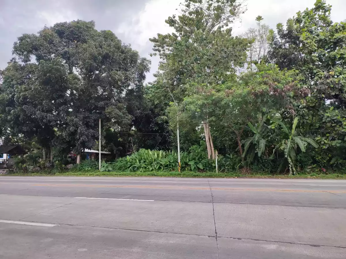COMMERCIAL LOT FOR SALE — Commercial Lot in Polomolok, South Cotabato, Philippines — Photo 3