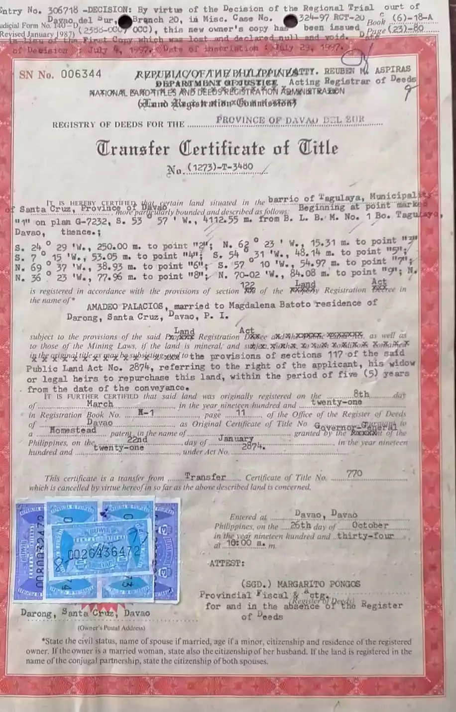 Commercial Lot along the National Highway of Sta. Cruz, Davao del Sur - photo 2