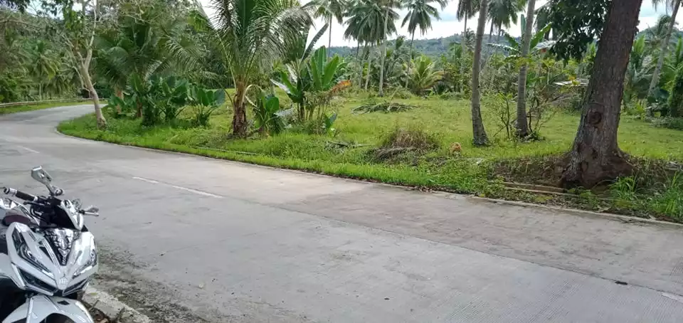 Agricultural Lot In Argao — Agricultural Lot in Cebu, Philippines — Photo 2