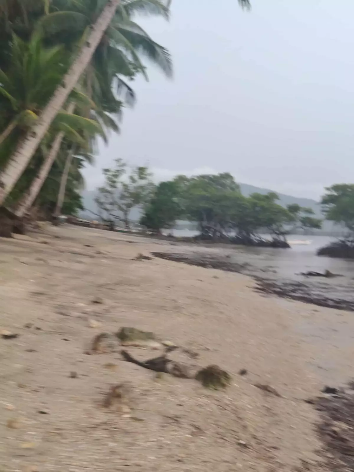 Beach Front Property for Sale (Sipalay) — Beach Lot in Sipalay City, Negros Occidental, Philippines — Photo 6
