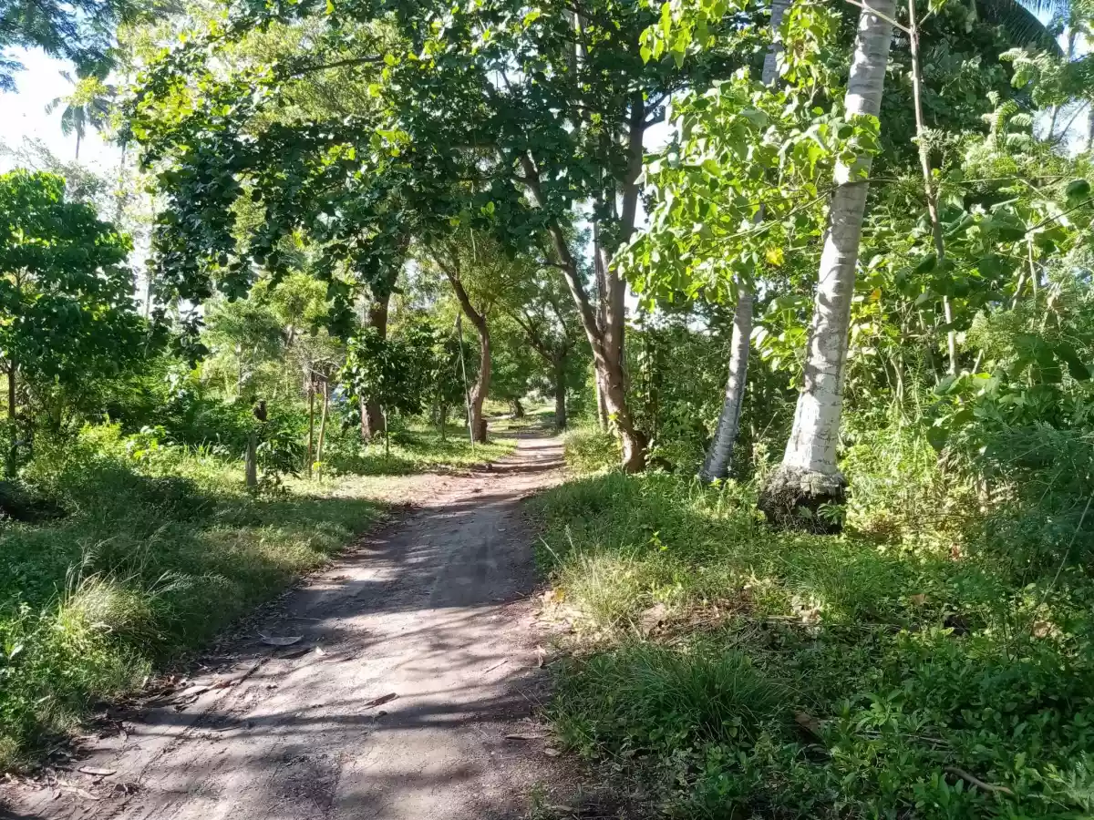 2,925sqm Along Highway Gensan Lot For Sale! 