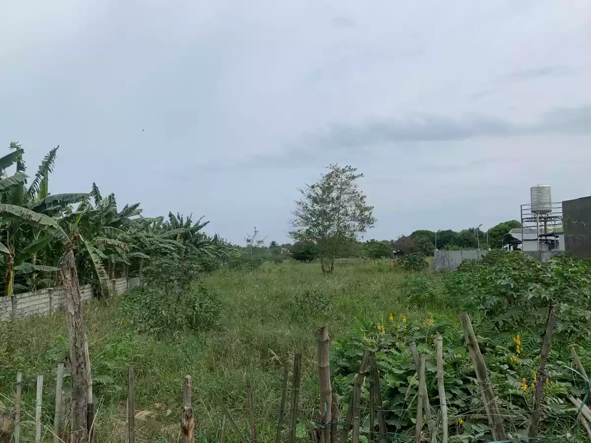 1 HECTARE COMMERCIAL LOT FOR SALE - photo 3