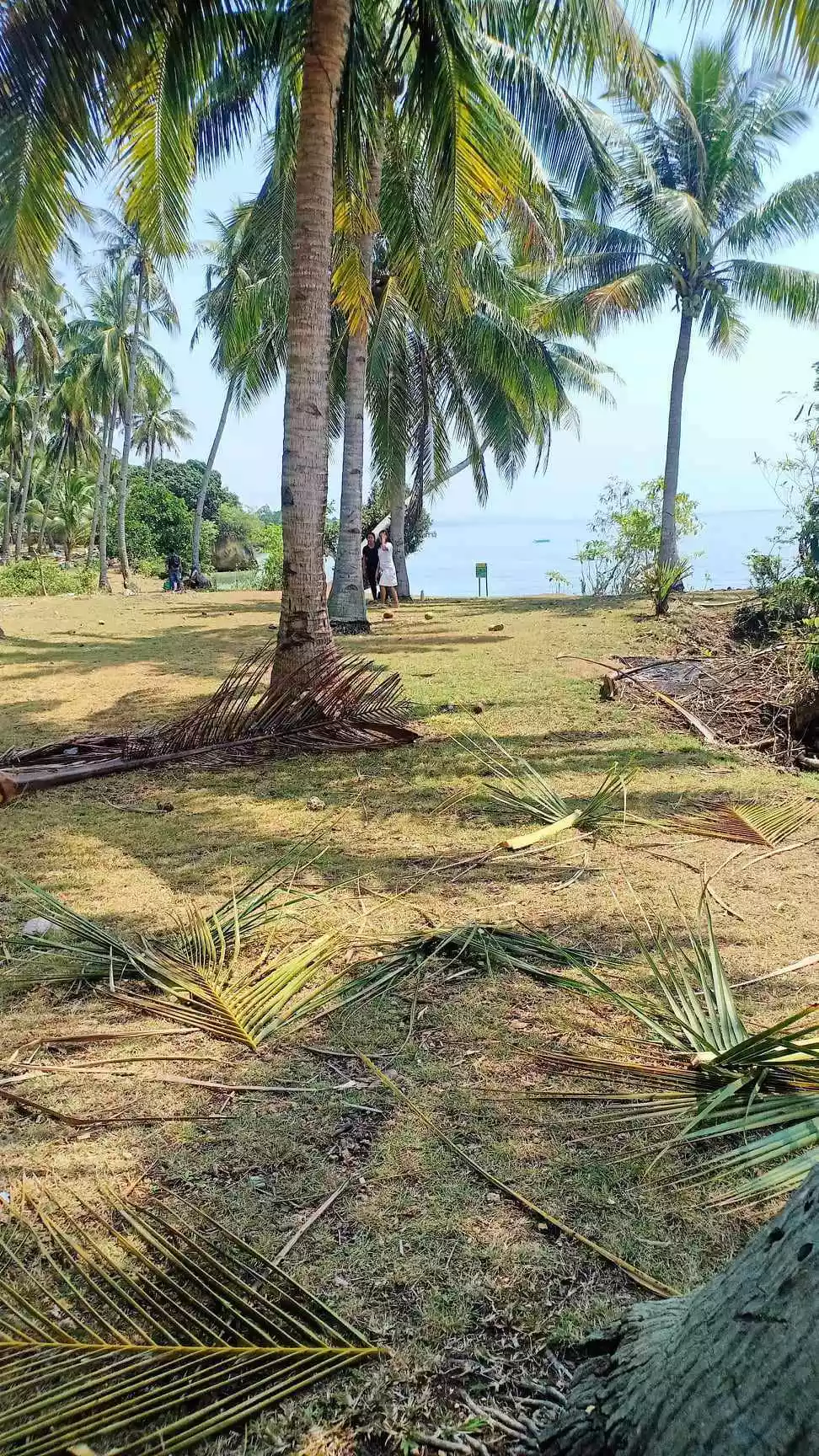 BEACH LOT - photo 3
