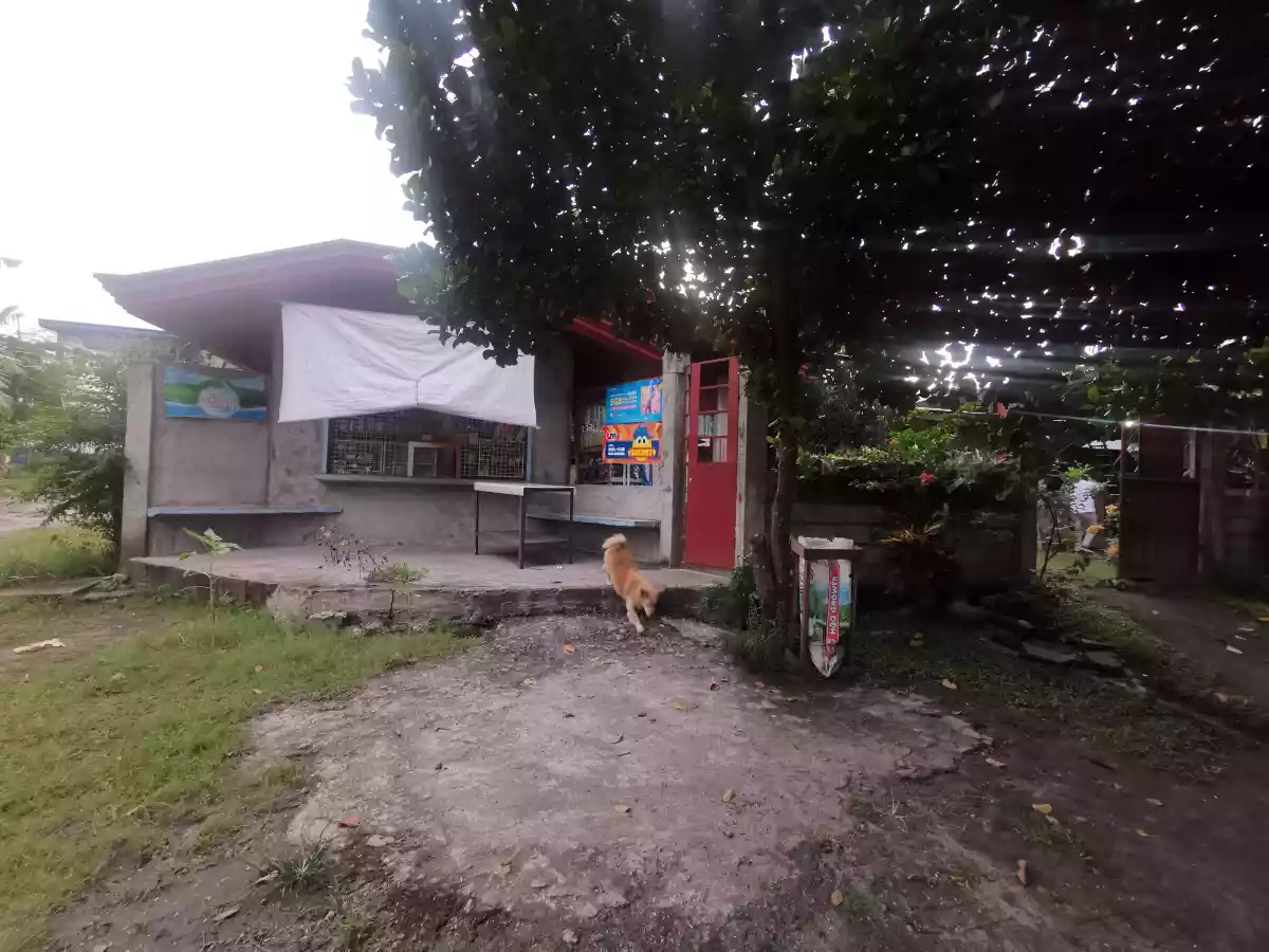 854sqm 2House and Lot Corner Lot Along Highway  - photo 7