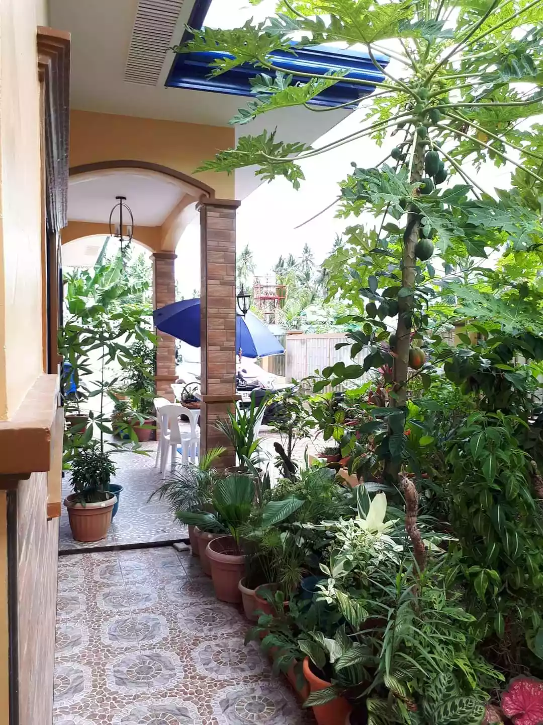 House and Lot — House and Lot in Negros Oriental, Philippines — Photo 5