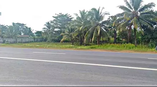 AGRICULTURAL LAND FOR SALE ??