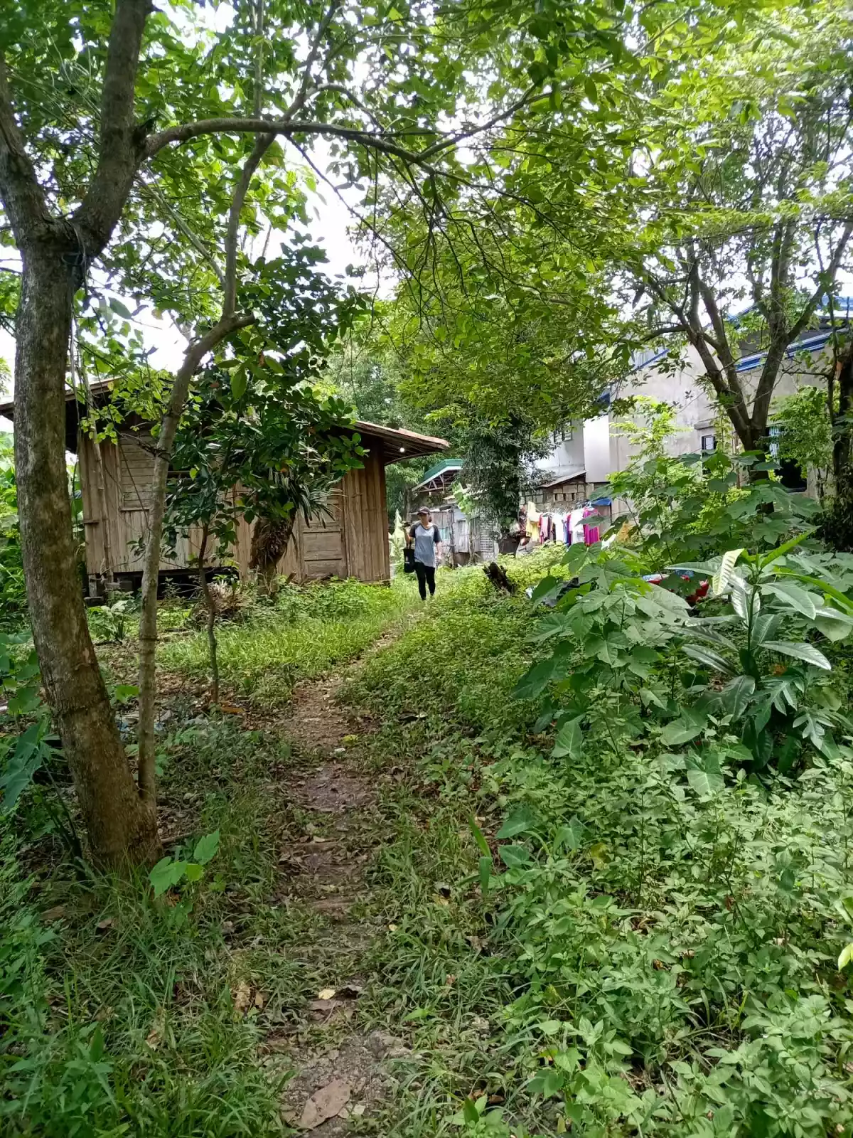 Lot for Sale Barangay Tiltilon, Cotcot Liloan Cebu 2343 sqm — Residential Lot in Cebu, Philippines — Photo 6