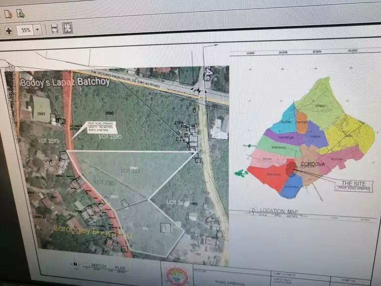 Commercial lot for sale in Cordova at 15,000 per square meter but negotiable. — Commercial Lot in Cordova, Cebu, Philippines — Photo 5