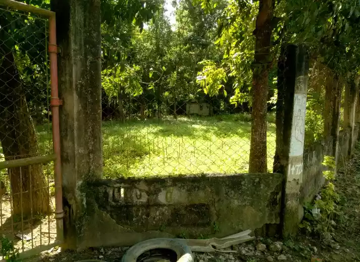 Titled - photo 4