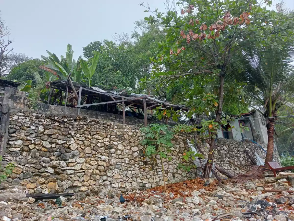 Beach Property in Catmon Cebu — Beach Lot in Catmon, Cebu, Philippines — Photo 3