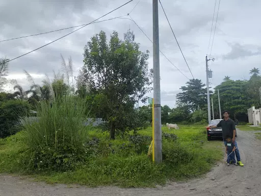 Lot — Residential Lot in South Cotabato, Philippines — Photo 6