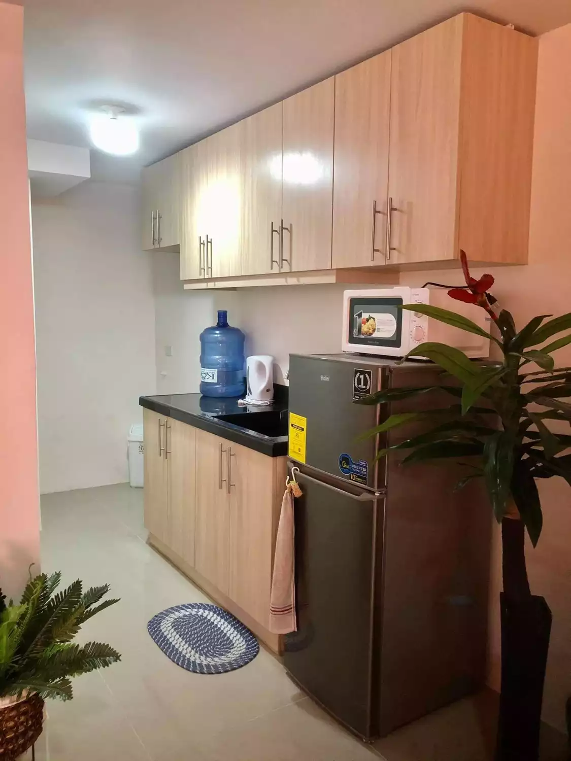 2 Bedroom Condo unit  - photo 4