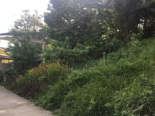Residential Lot in Balamban for sale — Residential Lot in Balamban, Cebu, Philippines — Photo 4