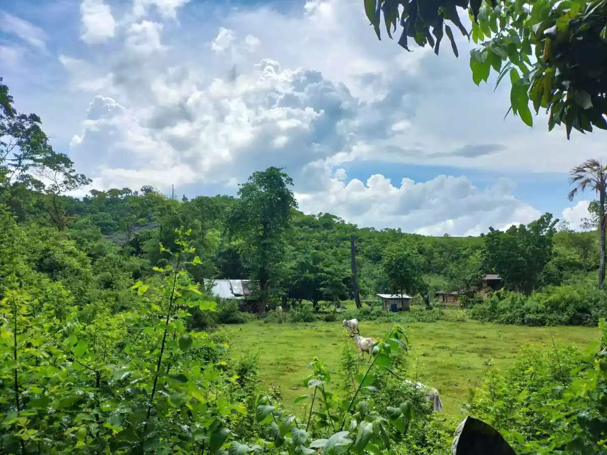 Affordable lot - photo 5