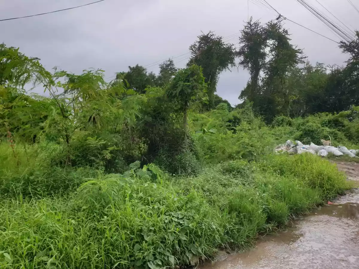 Open photo 12 of 13 — RESIDENTIAL LOT FOR SALEâ€¼ï¸ Lumiyap road, Divisoria,Zamboanga City