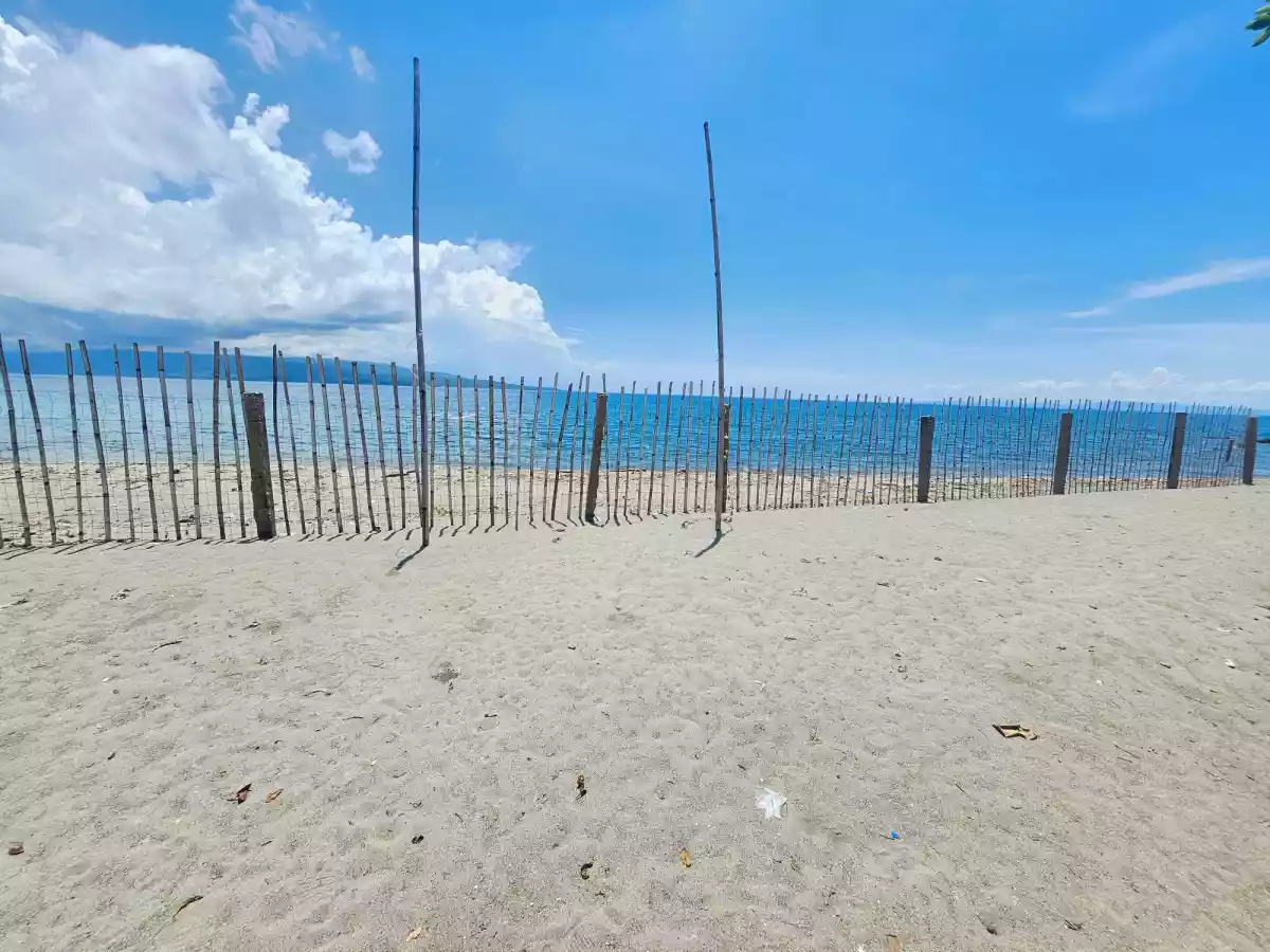 Dream Beach Lot for Sale! — Beach Lot in Western Nautical Highway, San Jose, Negros Oriental — Photo 4
