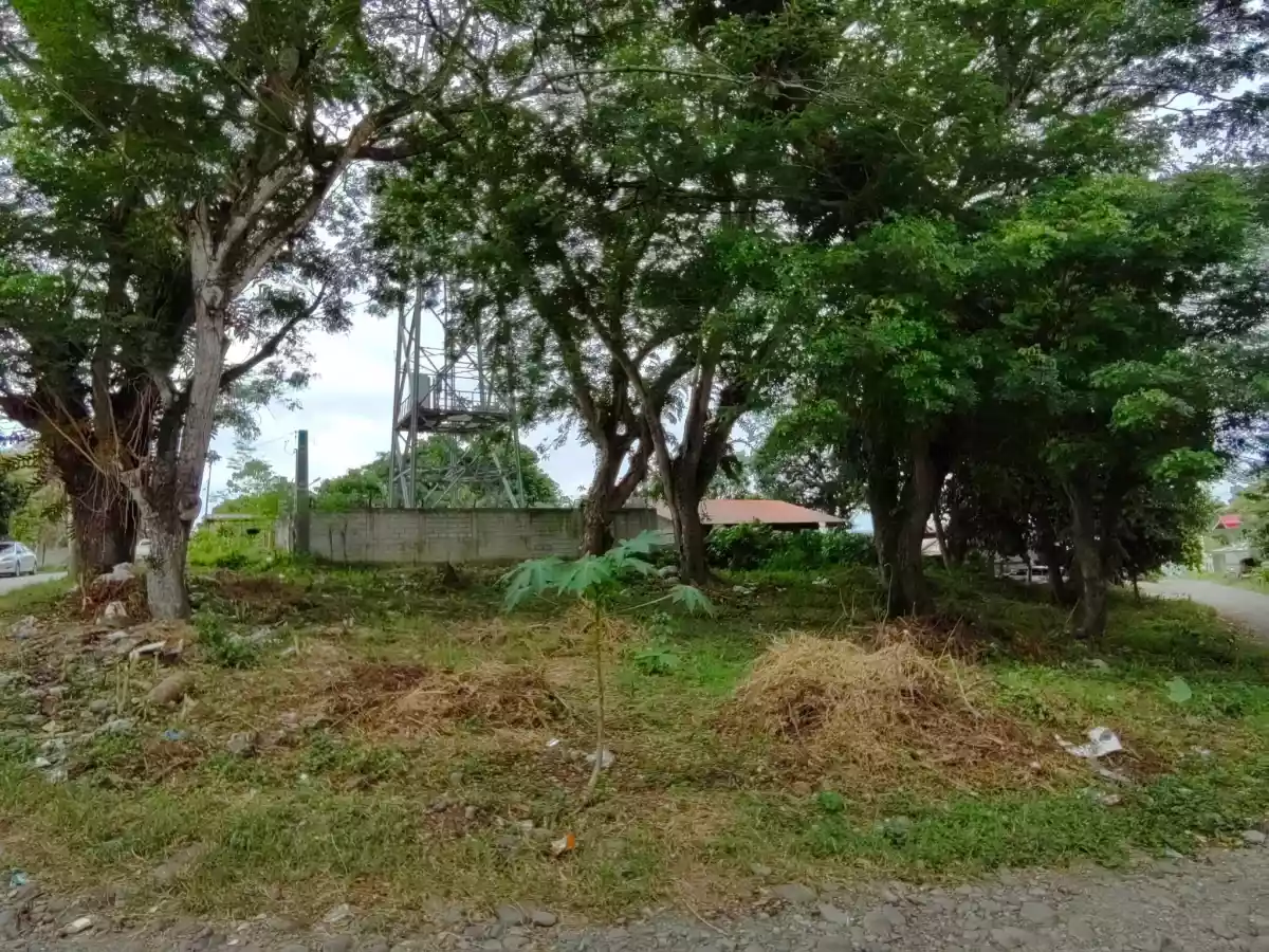 Residential Lot in Ma-a (Near Gap Farm) - photo 4