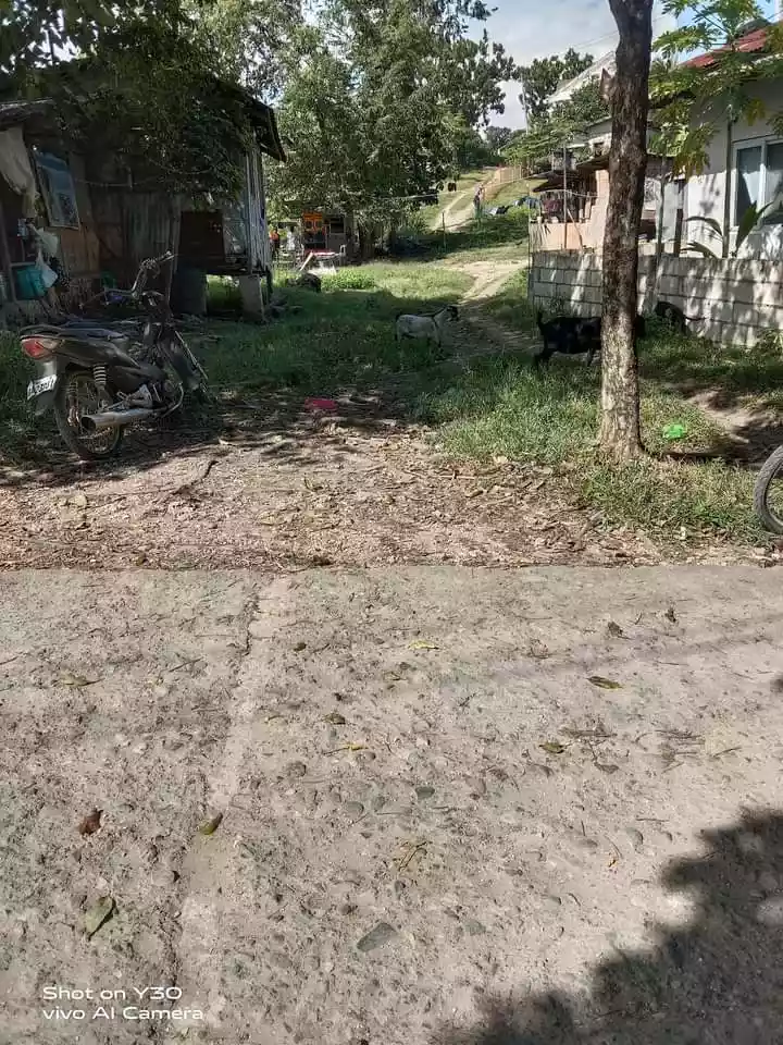 Titled Lot for Sale  - photo 3