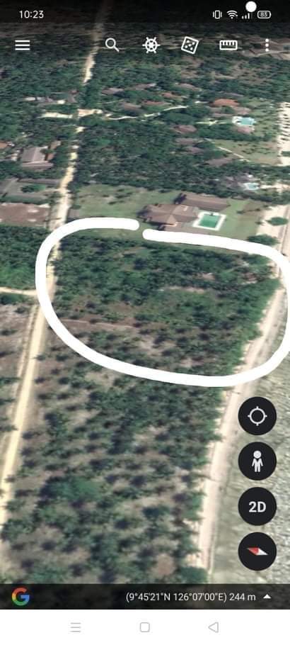 BEACH LOT FOR SALE IN MALINAO, GENERAL LUNA, SIARGAO