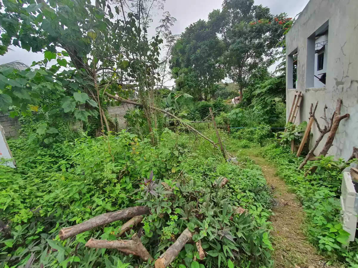 121 sqm Lot only in Montana Vista - photo 3