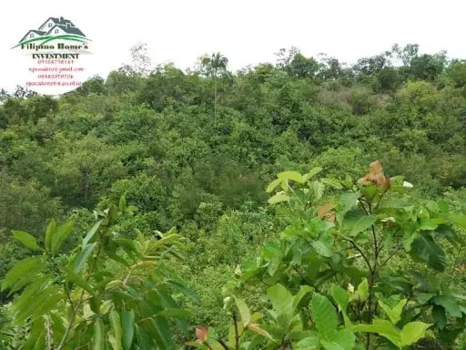 Very rush agri lot — Agricultural Lot in Cebu, Philippines — Photo 7