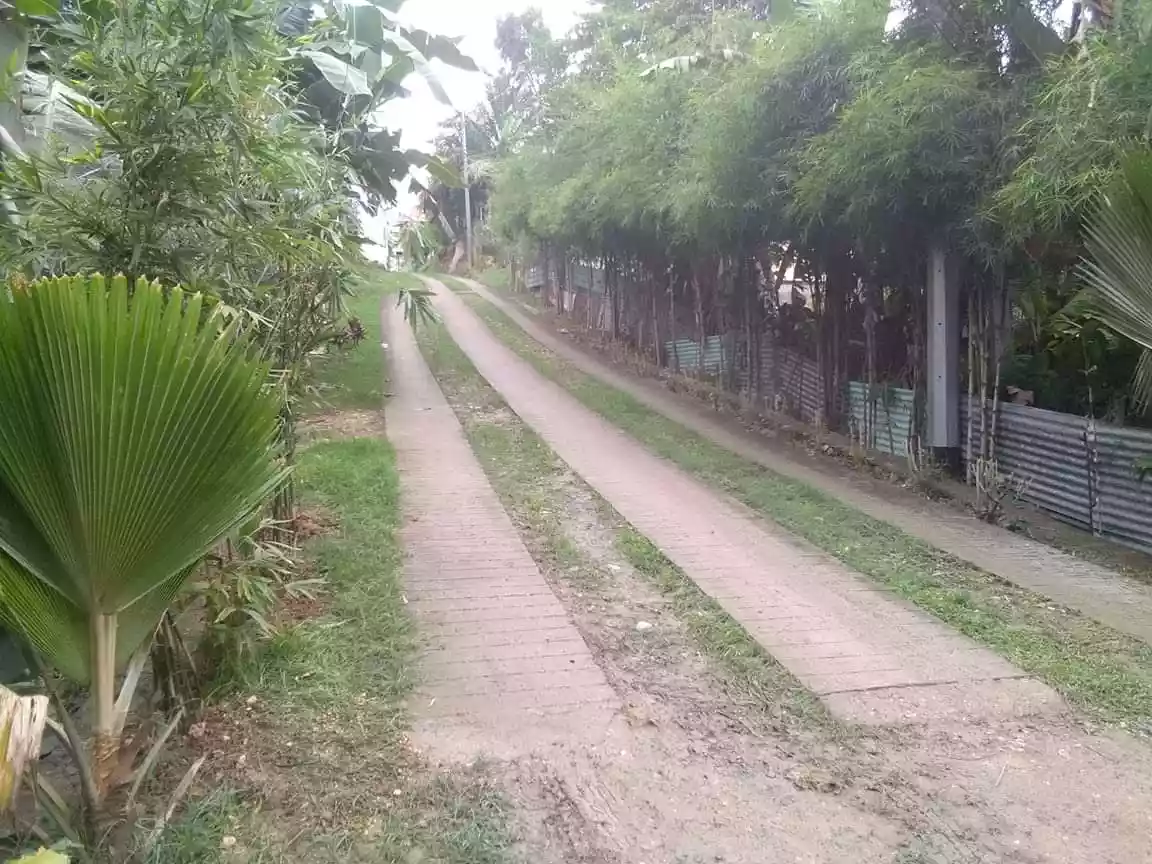 Commercial Lot for Sale with Conference/Function Hall — Commercial Lot in Carcar City, Cebu, Philippines — Photo 5