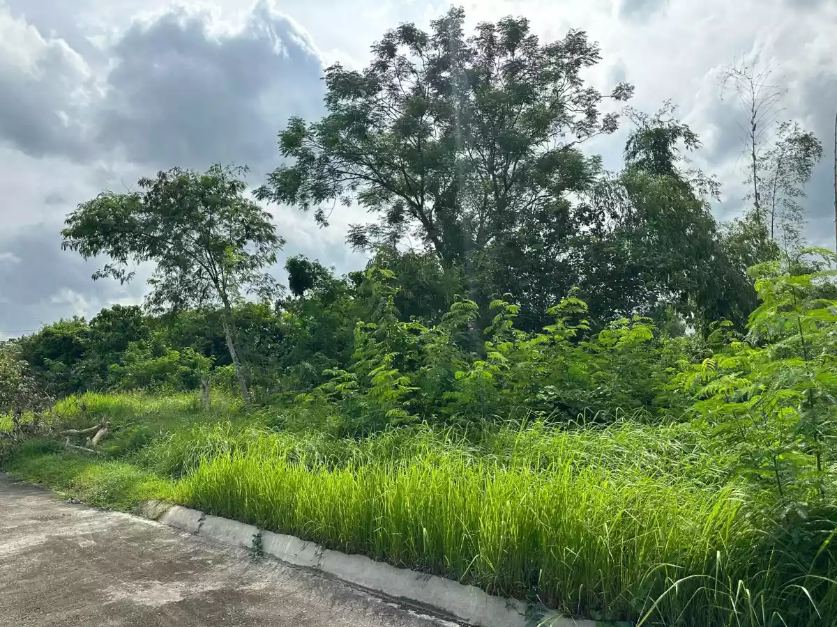 Lot only — Residential Lot in Cebu, Philippines — Photo 2