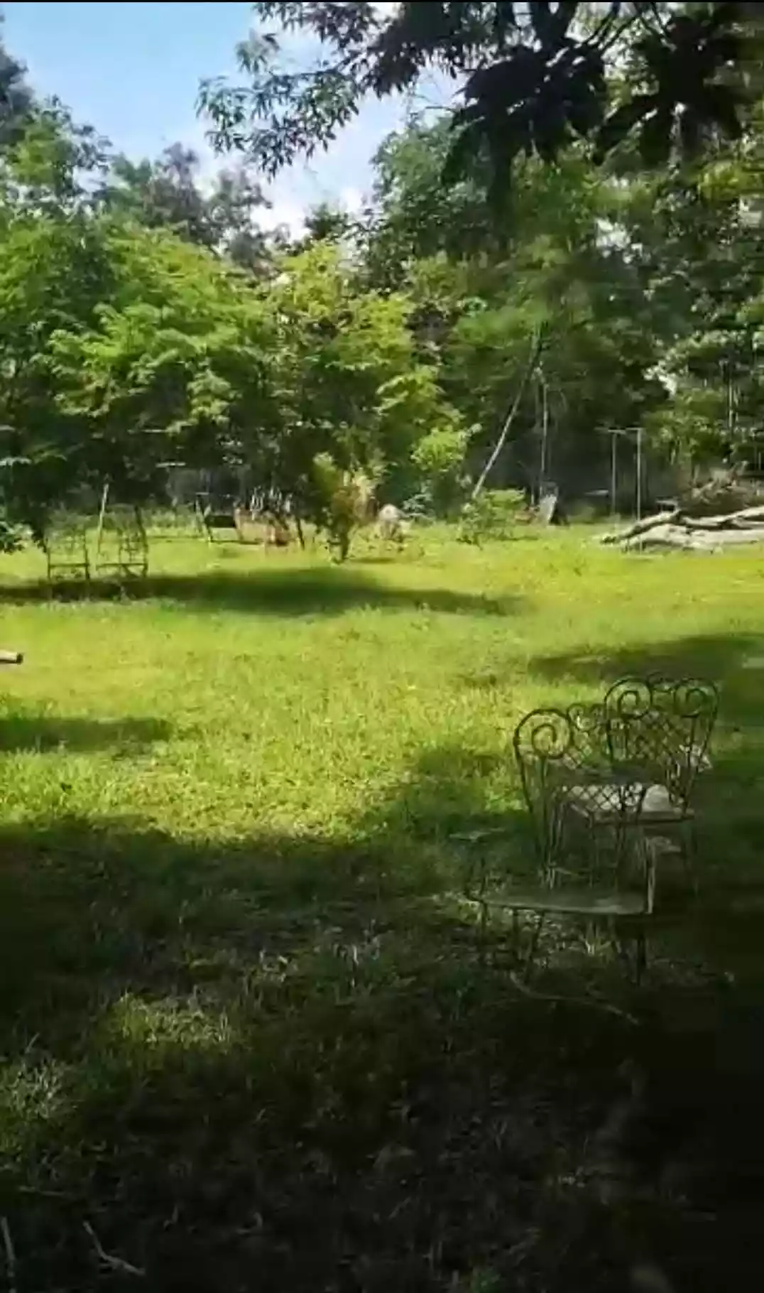 RESIDENTIAL LOT FOR SALE in Tagbilaran City, Bohol — Residential Lot in Tagbilaran City, Bohol, Philippines — Photo 4