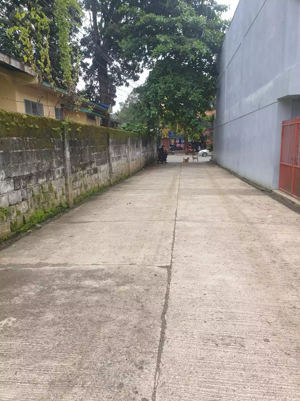 Open photo 11 of 11 — HOUSE AND LOT FOR SALE with 14 rooms for RENT