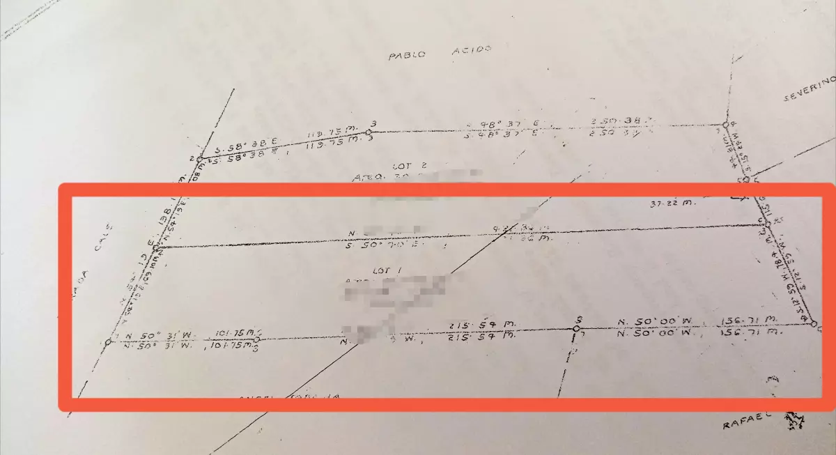 3 Hectares Farmland for Sale  - photo 4