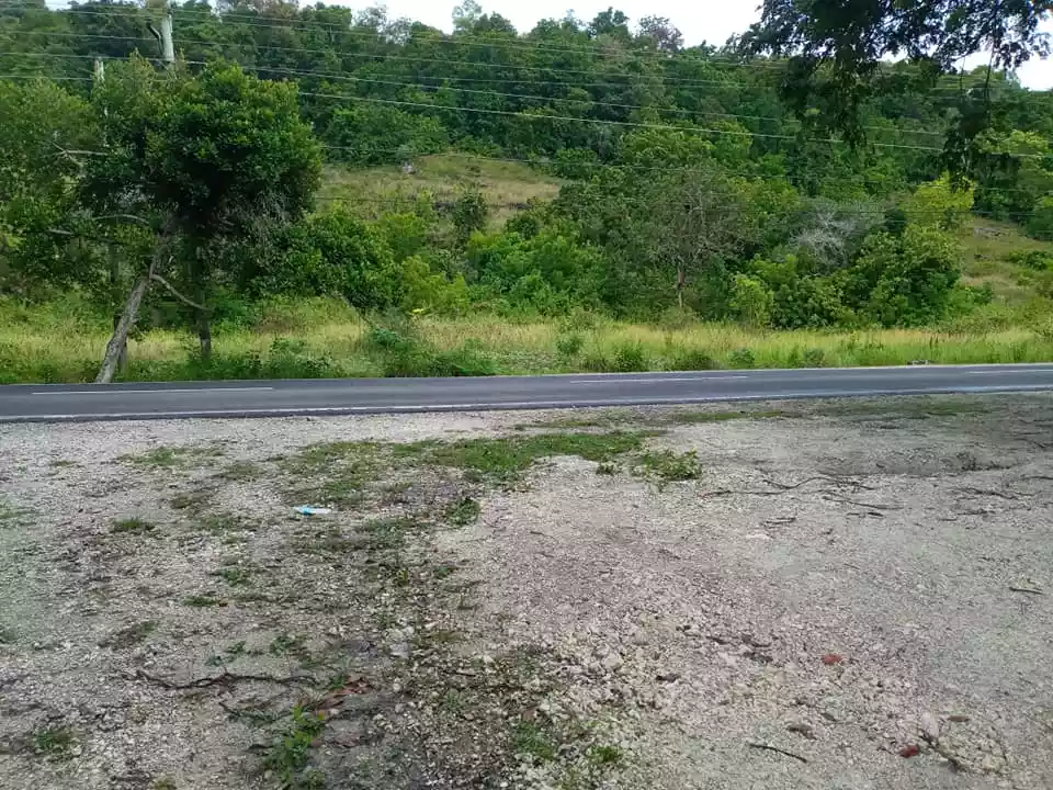 Beach lot for sale in Santander Cebu  - photo 7