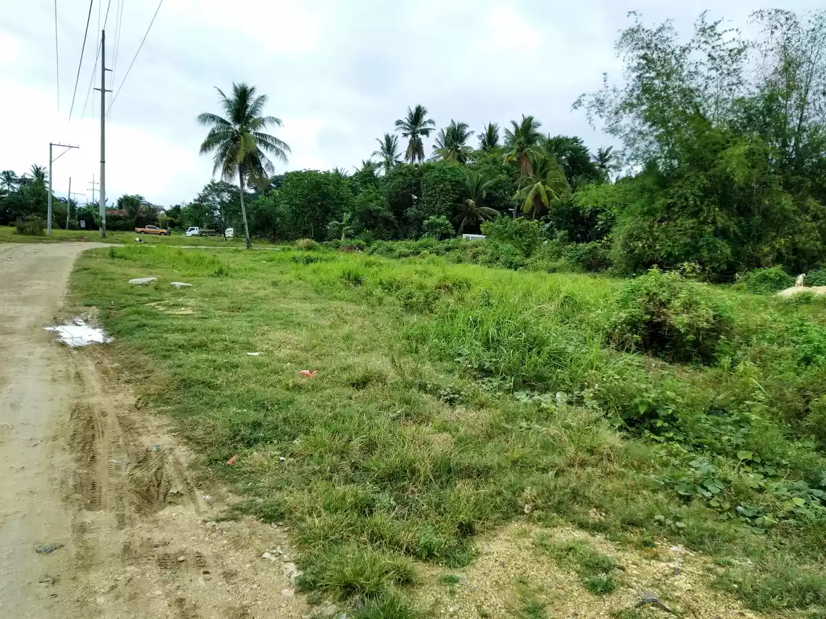 Affordable Industrial lot - photo 5