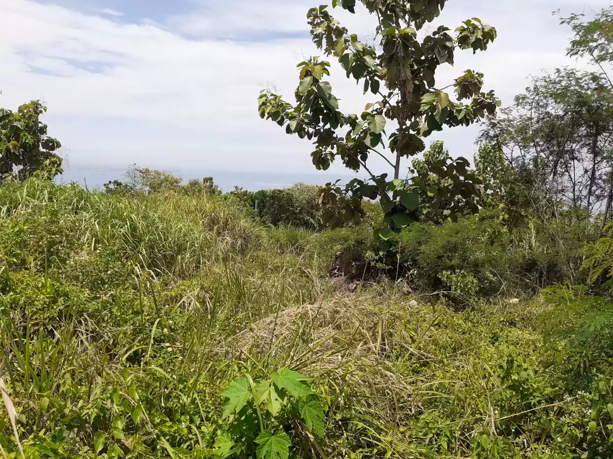 Residential lot / Teakwood Subdivision 2 lot ( adjacent lot ) - photo 7